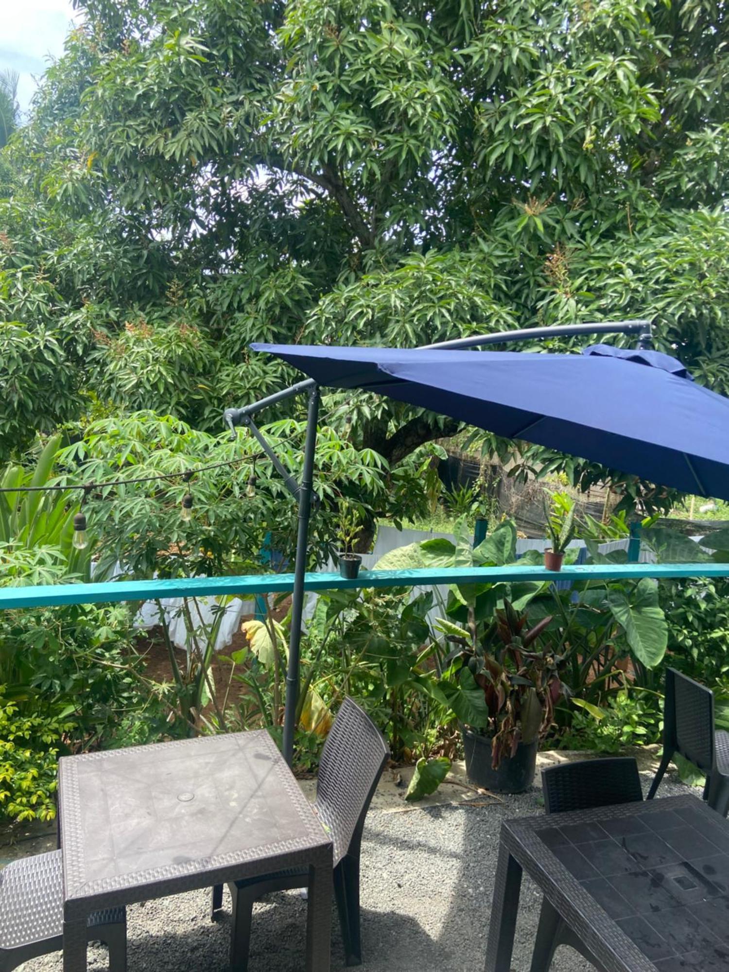 Hostel Travelers Chitré 外观 照片